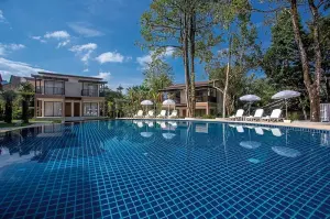 The Leaf on The Sands